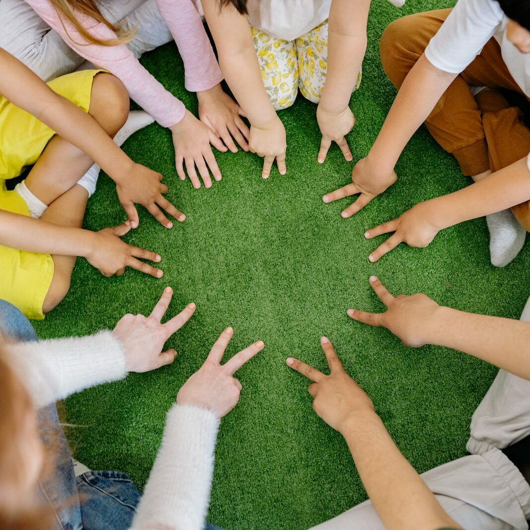 Group of Children Playing on Green Grass